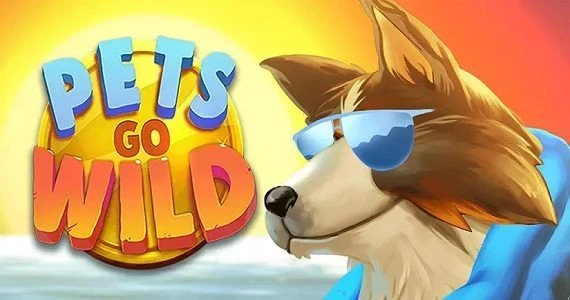 『Pets Go Wild』スキルゲーム